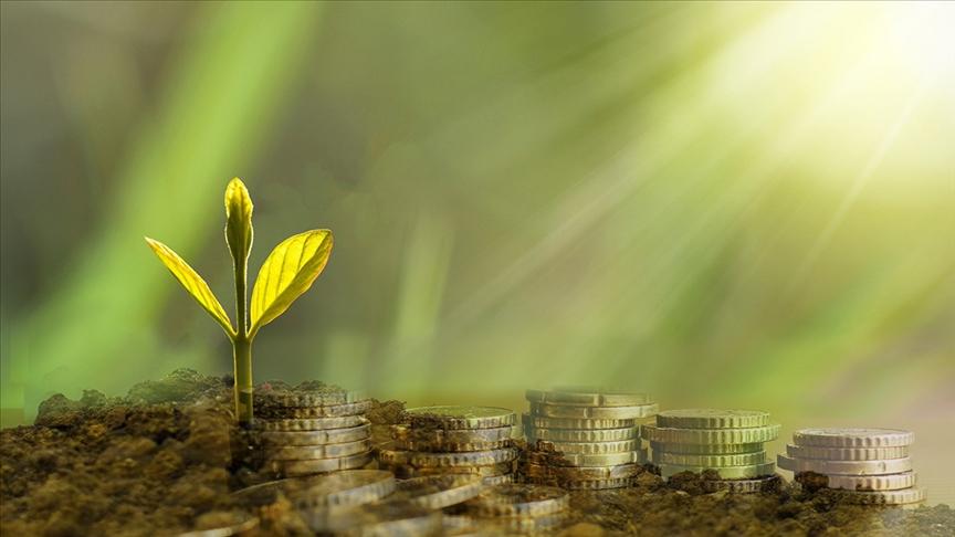 Yeşil Finansman Danışmanlığı